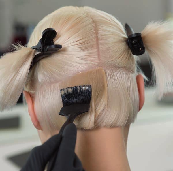 FORMULATION COLOR ARTIST Trends and Inspiration
