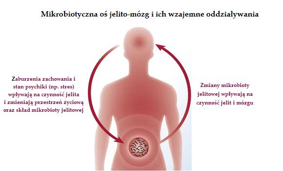 ruch, fitoterapia,