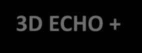 3D ECHO + angioct 14 pts Angio CT + 3Decho Ocena off-line, nałożenie obrazów 3DEcho