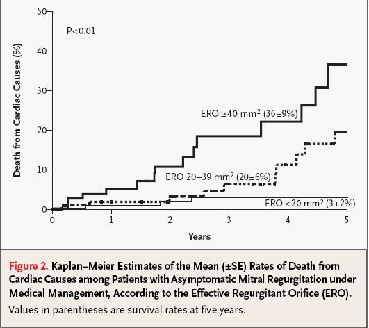 . Survival implication of left ventricular end-systolic diameter in mitral
