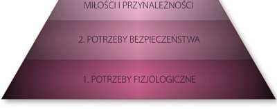 potrzeby układają się w określoną