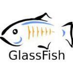 Server aplikacji GlassFish Serwer aplikacji platforma zapewniająca funkcjonowanie, programowanie, dystrybucję oraz wspieranie sieciowych aplikacji