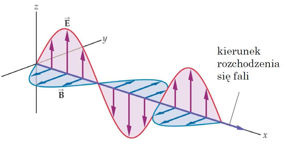o długość fali λ, czyli odległość między sąsiednimi punktami, w których pole elektryczne i magnetyczne mają taką samą fazę.