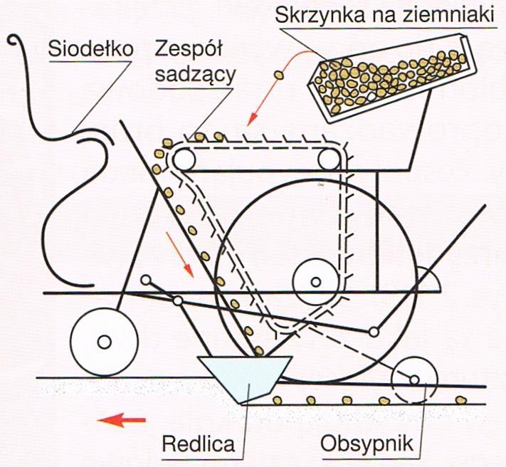 Sadzarki te oprócz obsługi ciągnika wymagają tyle osób obsługujących, ile rzędów roboczych posiada sadzarka.