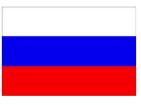 WERSJA ROSYJSKA Контроллер SP-18 управляет работой вентилятора наддува, насоса ЦО, насоса ГВС и системой подачи топлива.