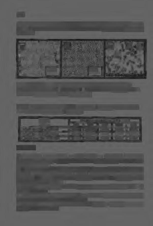 Struktura stopu Ni 3 AI modyfikowanego chromem i moibdenem po przetapianiu aserowym: a- przetop, b, c- struktura środka przetopu wraz z obszarami mikroanaizy składu chemicznego Tabea 7.
