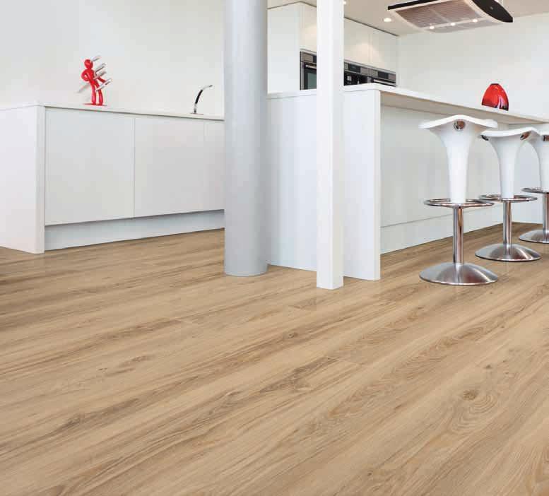 Blackjack Oak