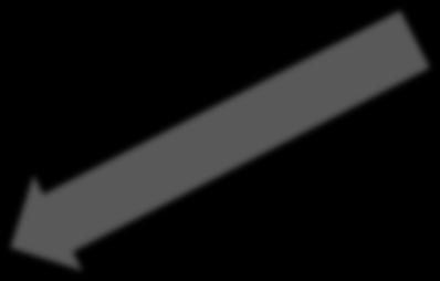 INICJATORAMI