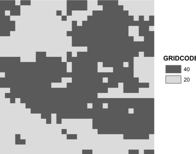 Ryc. 3. Graficzne przedstawienie siatki obliczeniowej pokrycia terenu utworzonej na podstawie zestawu danych GLCC dla obszaru GPN: 20 tereny rolnicze, 40 lasy źródło danych: opracowanie własne.