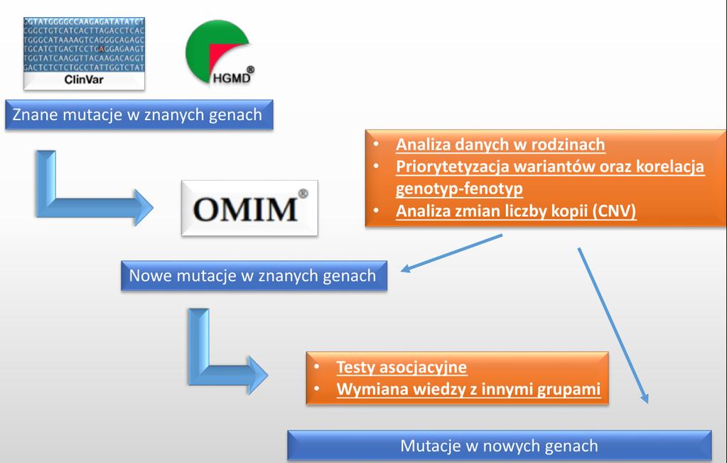 Identyfikacja wariantów potencjalnie patogennych
