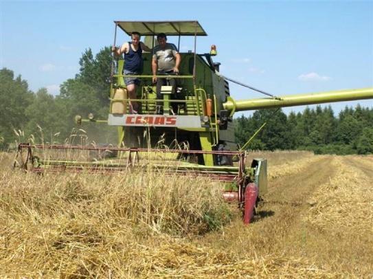 BEZPIECZNE ŻNIWA Żniwa to niebezpieczny okres wzmożonych prac, którym towarzyszy wiele różnorodnych zagrożeń związanych z obsługą maszyn, transportem plonów, pracą na wysokości, a udział w tych