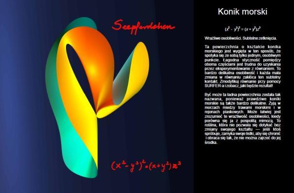 odkrywania nowych kształtów, mogli zasiąść przy przygotowanych stanowiskach komputerowych, aby przy pomocy
