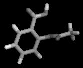 Polimorfizm