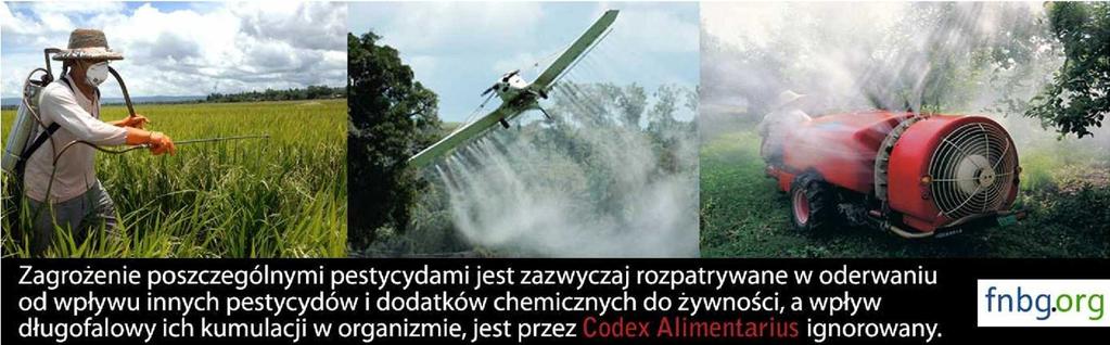 Maksymalne POZOSTAŁOŚCI PESTYCYDÓW w żywności Dopuszczenie do spożycia znaczących pozostałości ponad 3275 pestycydów, także potencjalnie