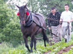 Drobni rolnicy lepiej wykorzystują zasoby naturalne chroniąc