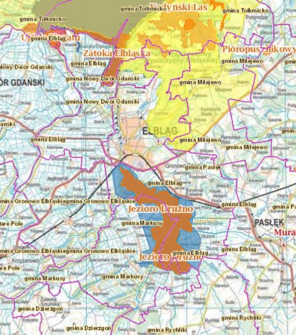 Mapę obszarów chronionych Natura 2000 na obszarze objętym planem przedstawiono na rysunku 13. Rys. 13. Mapa obszarów chronionych na obszarze objętym planem Źródło: www.geoportal.gov.pl, dostęp: 31.03.