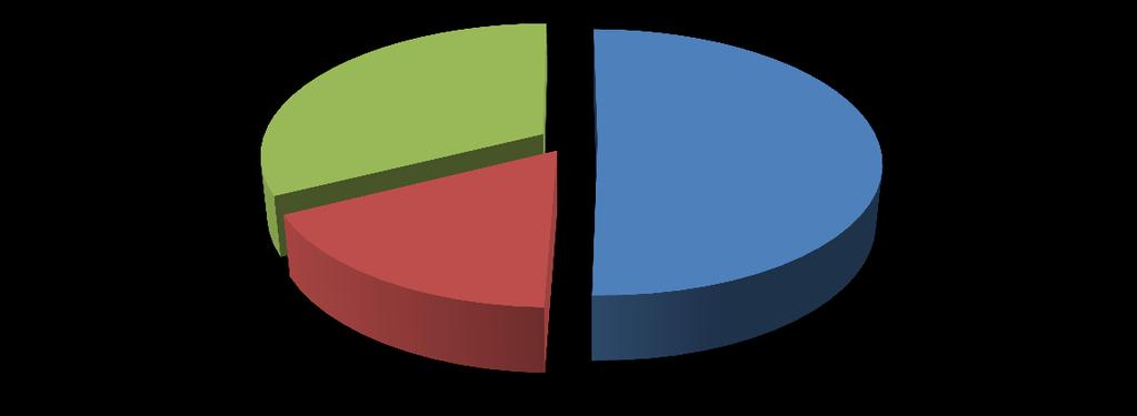 32,2% 50,1% 16,9% EURO 3 EURO 5 EURO 6 Rys. 14.