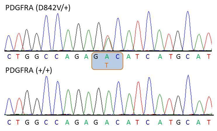 Mutacje powodujące oporność Home / ( ) Genomic DNA Reference