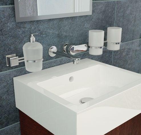 Soap dish + liquid soap