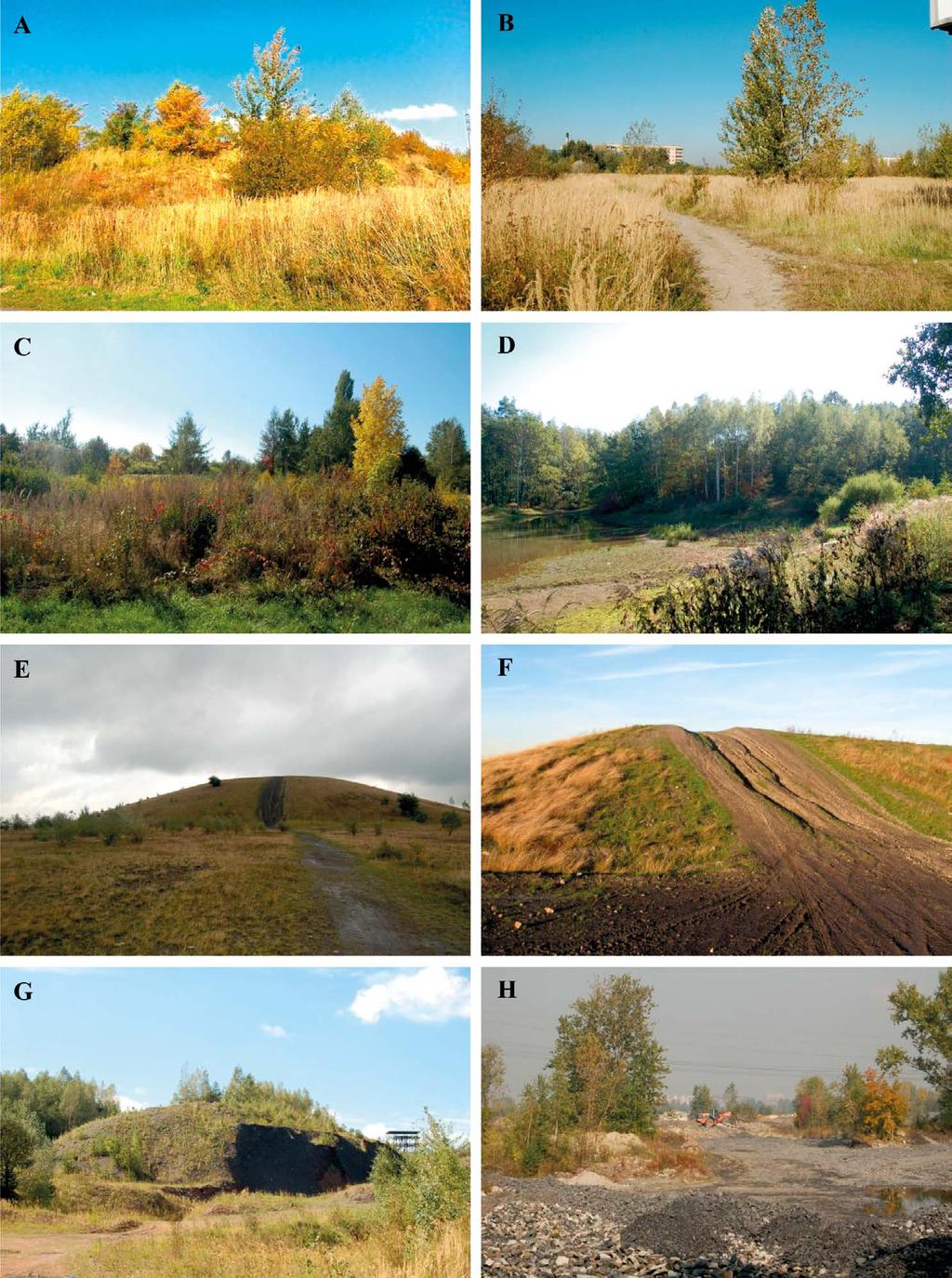 Probierz i inni 2017 / Gospodarka Surowcami Mineralnymi Mineral Resources Management 33(1), 35 50 45 Rys. 5. Fotografie wybranych zwałowisk: A przy ul. Cegielnianej (Ruda Śląska), B przy ul.