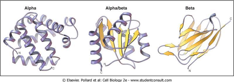 Struktura Białka: Trzeciorzędowa polipeptyd zwinięty w strukturę przestrzenną (wiąznia