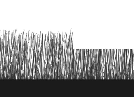 2007-03-15 Podręcznik serwisowy Agregat koszący 4 1 Teoria koszenia 1.1 Wysokość koszenia Najlepsze wyniki koszenia osiąga się przy odcinaniu jednej trzeciej długości trawy, tzn.