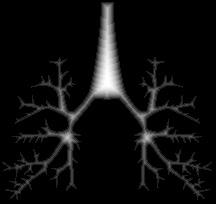 lifschitz@hospitalitaliano.org.ar PIŚMIENNICTWO 1 Youngson RM. Collins Dictionary of Human Biology. Glasgow: HarperCollins, 2006. ISBN 0-00-722134-7. 2 Cox M, Nelson DR, Lehniger AL.