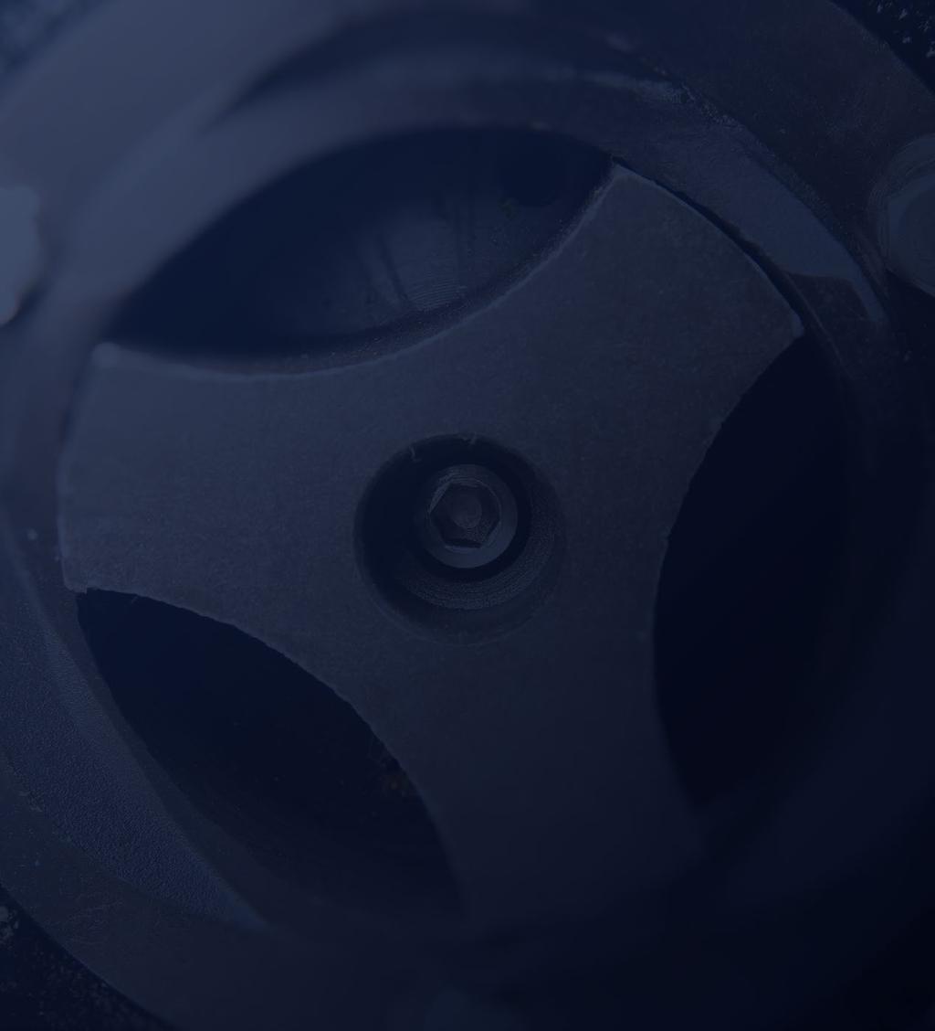 Dzięki doświadczeniu i wiedzy wykwalifikowanej kadry oraz systematycznemu udoskonalaniu swoich produktów, Dambat stał się znaczącym producentem pomp do wody na rynku europejskim.