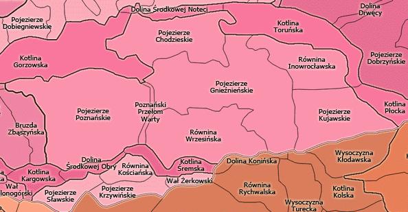 Pozostałe mezoregiony Pojezierza Wielkopolskiego, to sąsiadujące z Pojezierzem Gnieźnieoskim od północy Pojezierze Chodzieskie, od wschodu Równina Inowrocławska i Pojezierze Kujawskie, od południa