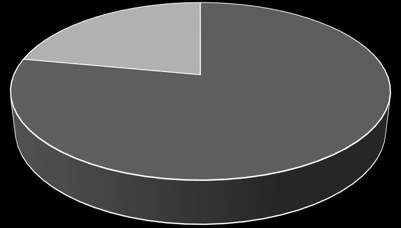 Sprzedaż w podziale na segmenty Serie1; Handel; 22%; 22% Serie1; Usługi; 78%; 78% Usługi Handel Informacja o podstawowych produktach, towarach lub usługach Szerokie zaplecze techniczne i