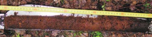 Border zone peat/gyttja in cores of transect I Obecność soczewki wodnej