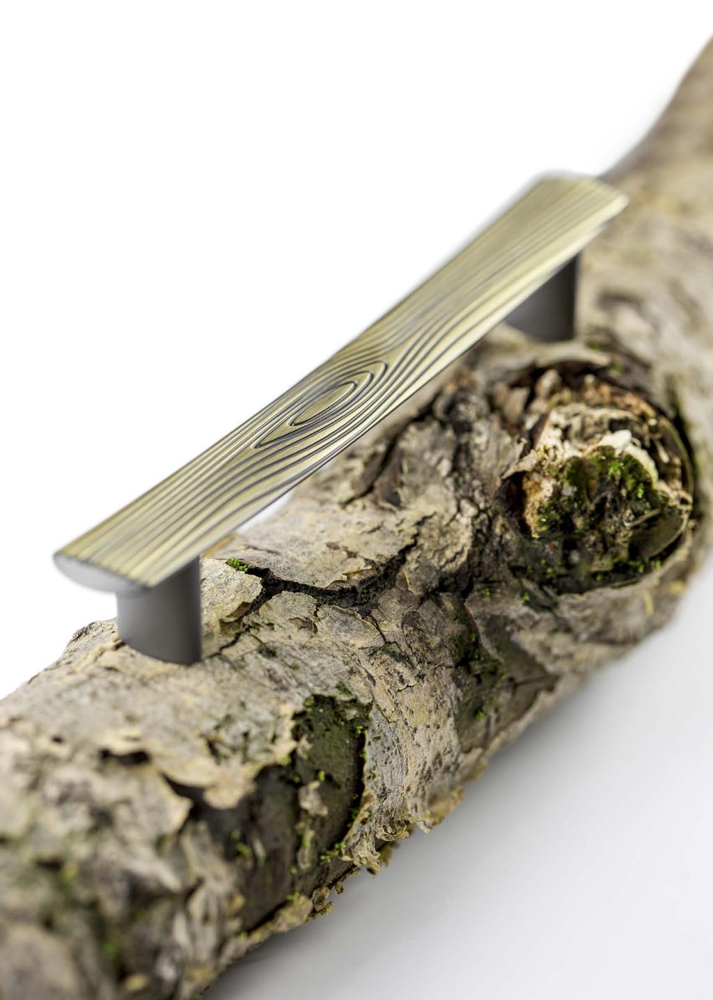 magazyn producenta akcesoriów meblowych i okuć budowlanych nr 01/2017 INSPIRACJE Wood -nowość inspirowana