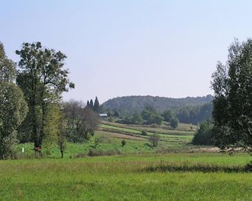 Przekształcenia kompozycji, dendroflora i stan ochrony zespołu pałacowo-parkowego... 61 ścianami, tworząca ogród zimowy.