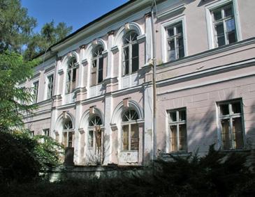Widok na aleję grabową okalającą park stan na 2014 rok (fot. M. Dąbski) Fig. 4.