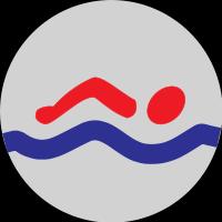 PŁYWAK PŁYWACZKA * * 1. Przepłynął/przepłynęła 200 m, w tym połowę na plecach. 2. Skoczył/a do wody z wysokości co najmniej 1 m i przepłynął/przepłynęła pod lustrem wody 10 m. 3.