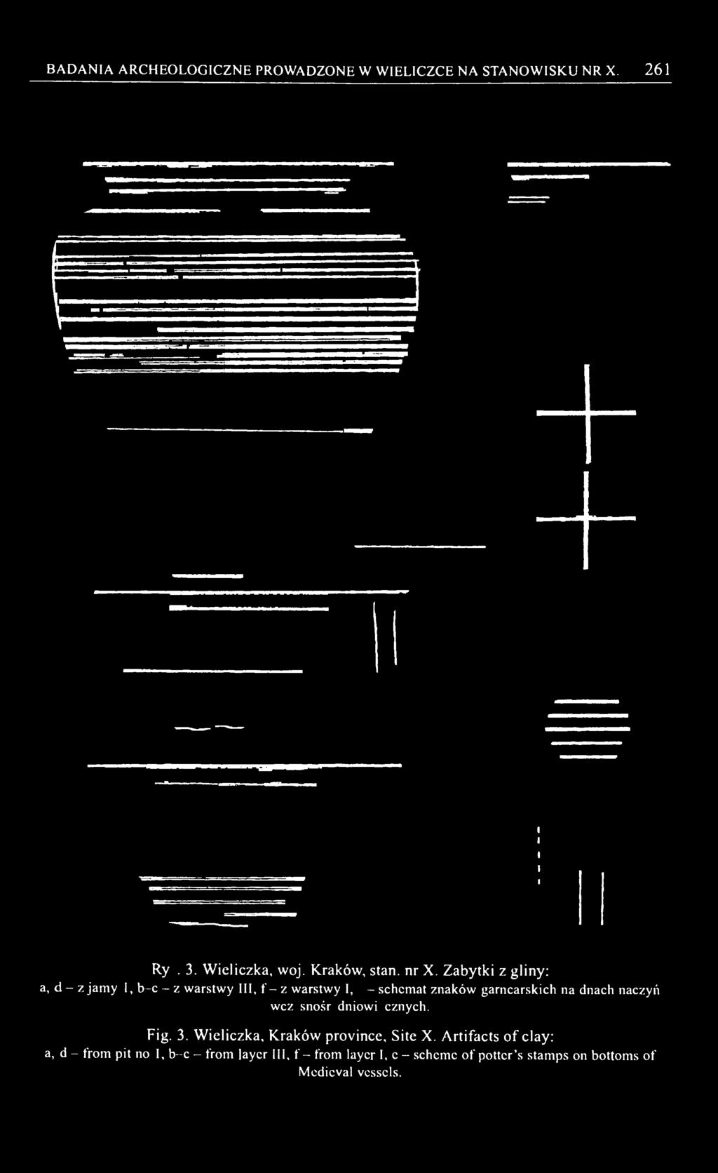 dnach naczyń wczesnośredniowiecznych. Fig. 3. Wieliczka, Kraków province. Site X.