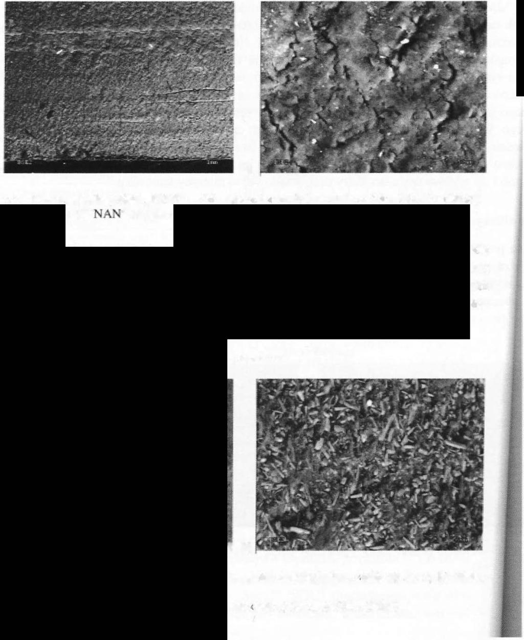 34 TRIBOLOGIA 1-2012 Na zdjęciu a) wyraźnie widoczna jest granica pomiędzy obszarem poddanym i niepoddanym tarciu.