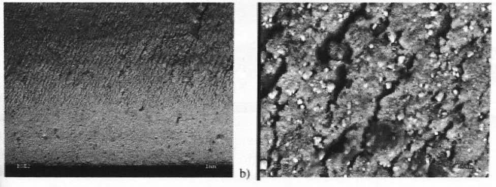 b) 600 x (SEM) b) 600 x Analogicznie do kompozytu z wonastonitem (TER) zachowuje się próbka napełniona kwarcem (SIL). Okazuje ię.
