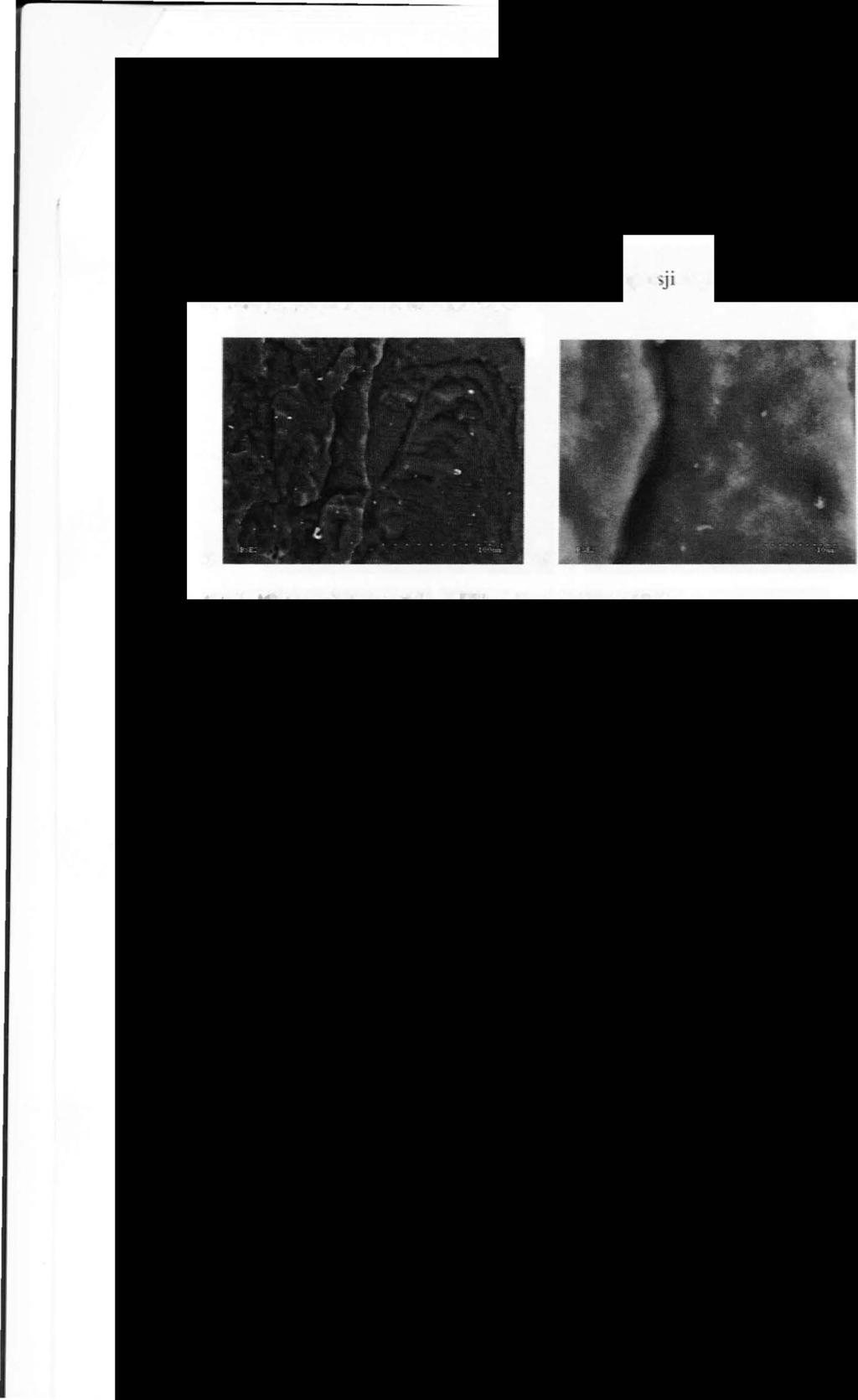1-2012 TRIBOLOGIA 29 stałej, co może świadczyć o eksfoliacji i dobrej dysper Ji napełniacza w matrycy kompozytu kauczuku sihkonowego.