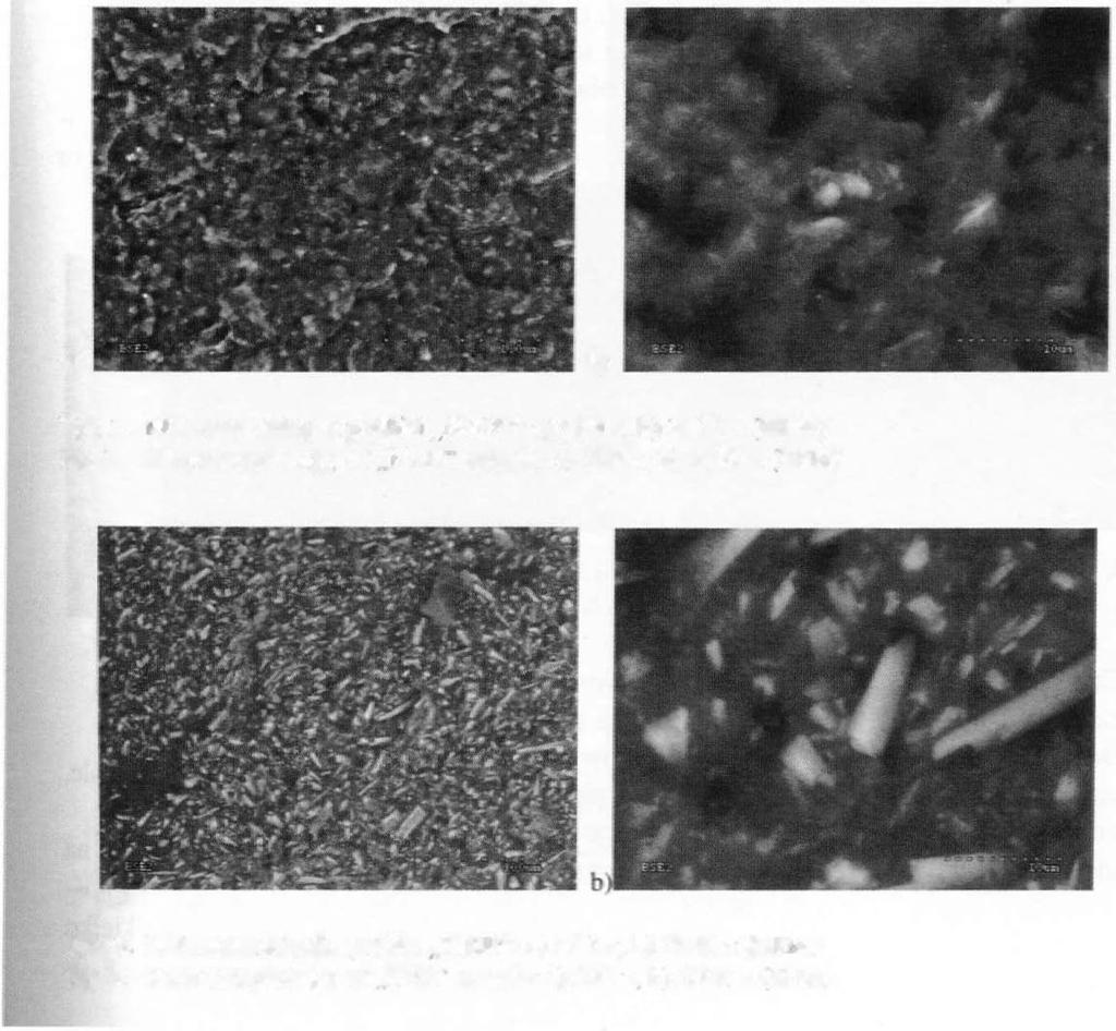 , b) 3000 x (SEM) a) b) Rys. 2. ).likromorfologia próbki,,nan'' a) 500 x, b) 3000 x (SEM) Fig. 2. l\.