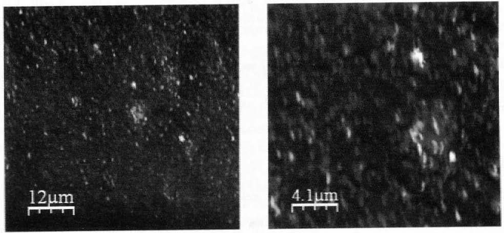 Micromorpłtology o f.. REF" sample (AFM) a) Rys.