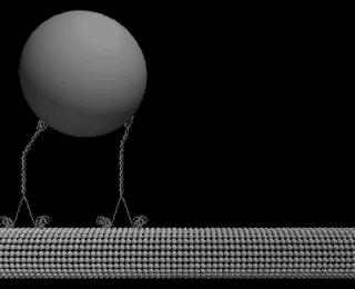 różne struktury, które są w ten sposób transportowane wzdłuż mikrotubul, jak po