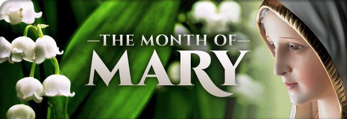 MONDAY - MAY 29 - EASTER WEEKDAY. 9: 00 MOST FORGOTTEN SOUL IN PURGATORY - A. MRAVEC JOSEPH & AGATHA STOKŁOSA-ANNIVERSARY OF DEATH TUESDAY - MAY 30 - EASTER WEEKDAY.