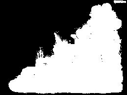 Tygryski