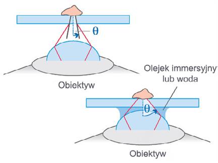 Kompatybilność z olejkiem immersyjnym Zastosowanie olejku, zamiast powietrza, pomiędzy soczewką obiektywu a szkiełkiem nakrywkowym pozwala na zebranie znacznie większej ilości światła przez obiektyw.