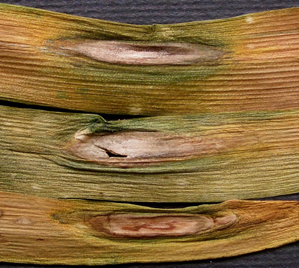 A B C D 1 2 E F Fig.