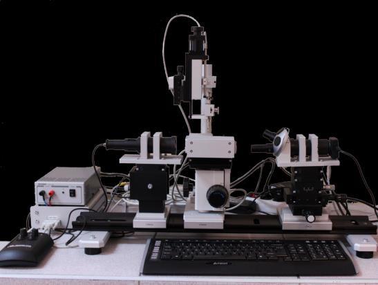 laboratoria