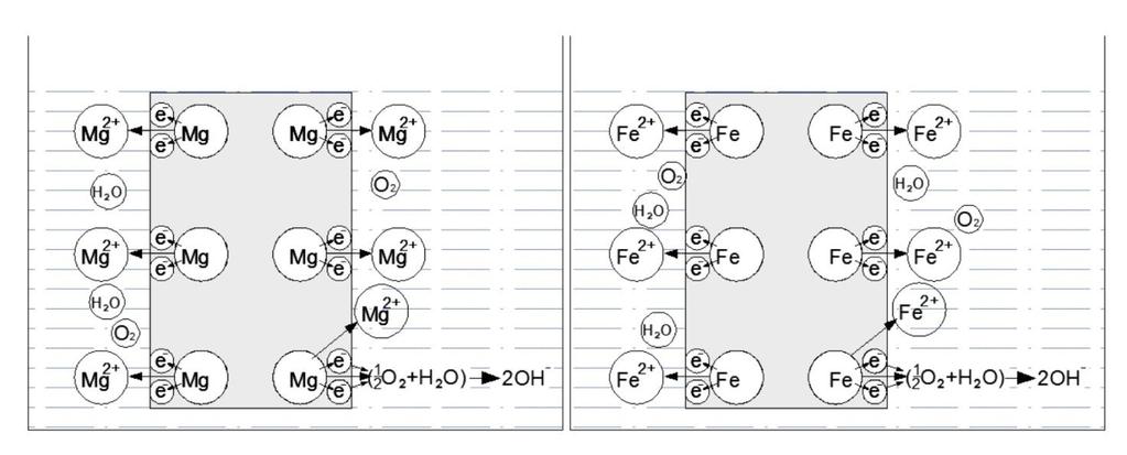 I. Przebieg korozji zbiornika wykonanego ze stali węglowej. Rysunek nr 1. Proces korozji elektrochemicznej żelaza (Fe) i magnezu (Mg) w wodzie słodkiej. 1. Korozja elektrochemiczna Fe i potencjał resztkowy Fe-H 2 O.