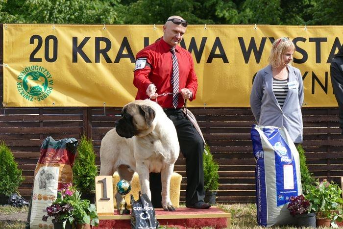 my. Budujemy nasze linie na głębokość poprzez