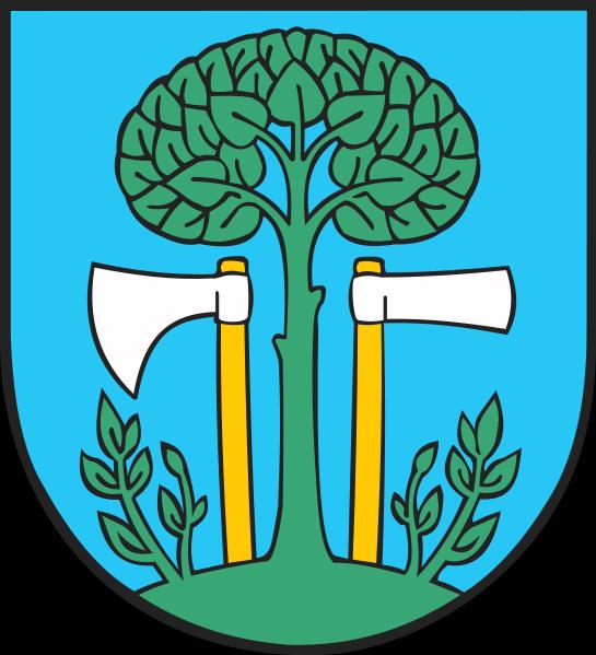 PROJEKT GMINNY PROGRAM